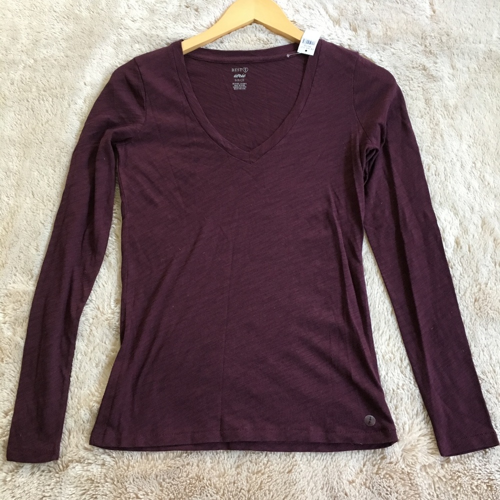 Aerie Best T long sleeve v-neck t-shirt NWT, S